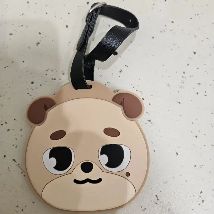 데이식스 러기지택 돈