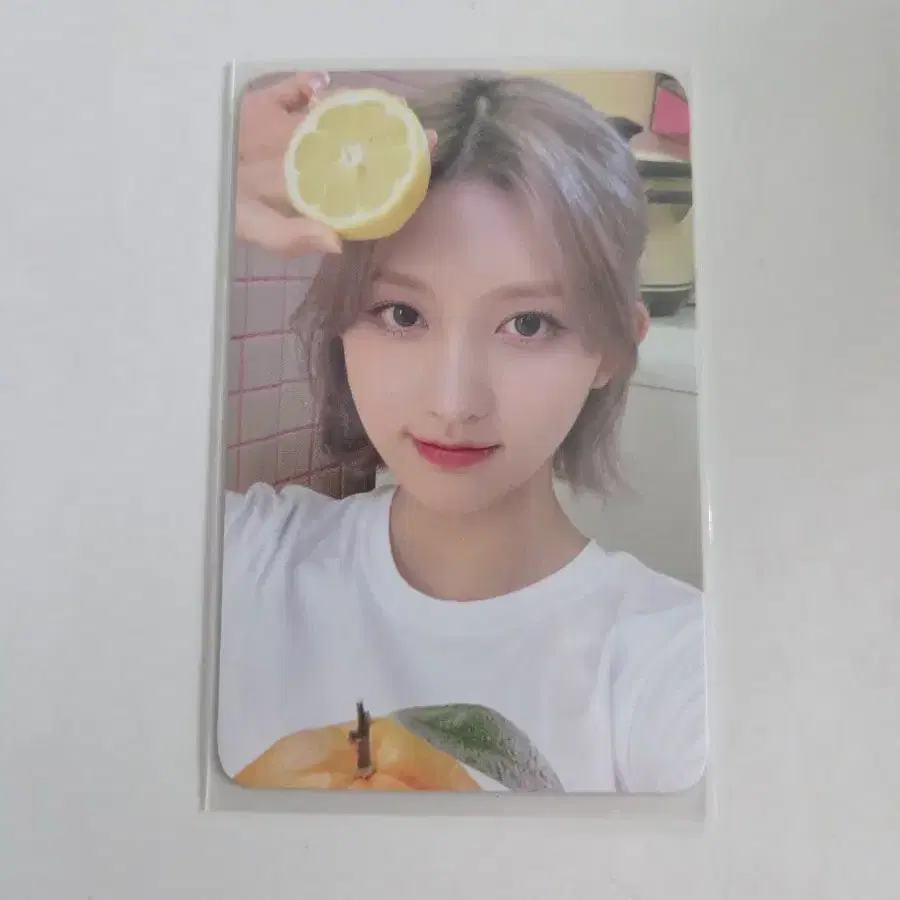 아이브 23시즌그리팅 케타포 가을