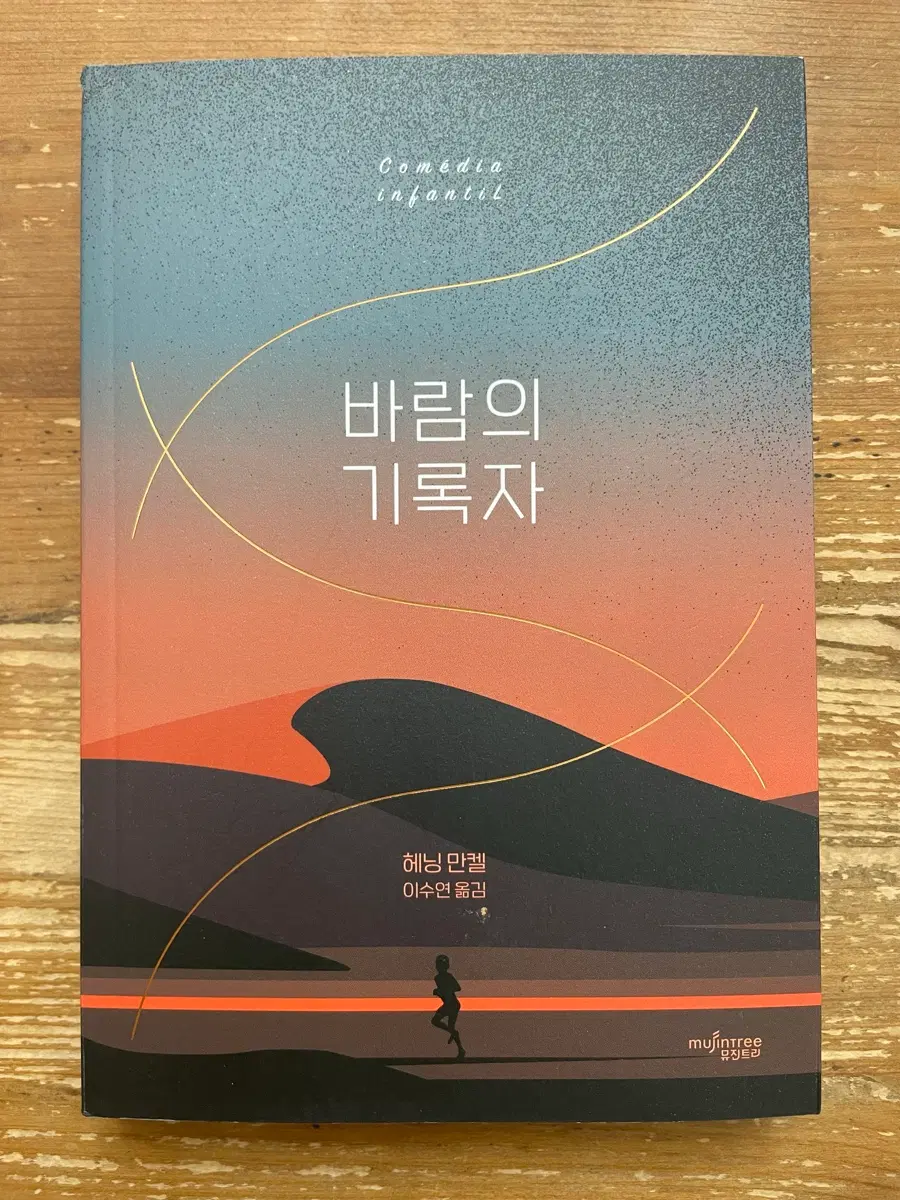 바람의 기록자 - 헤닝 만켈