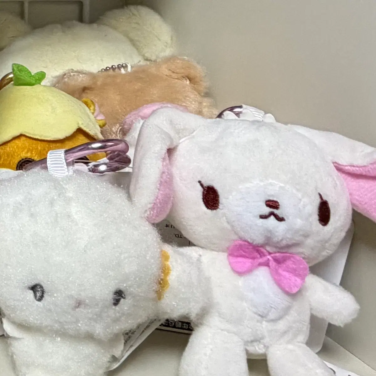 시로우사 코기뮹 하트 카라비너 인형 누이 키링 판매합니당