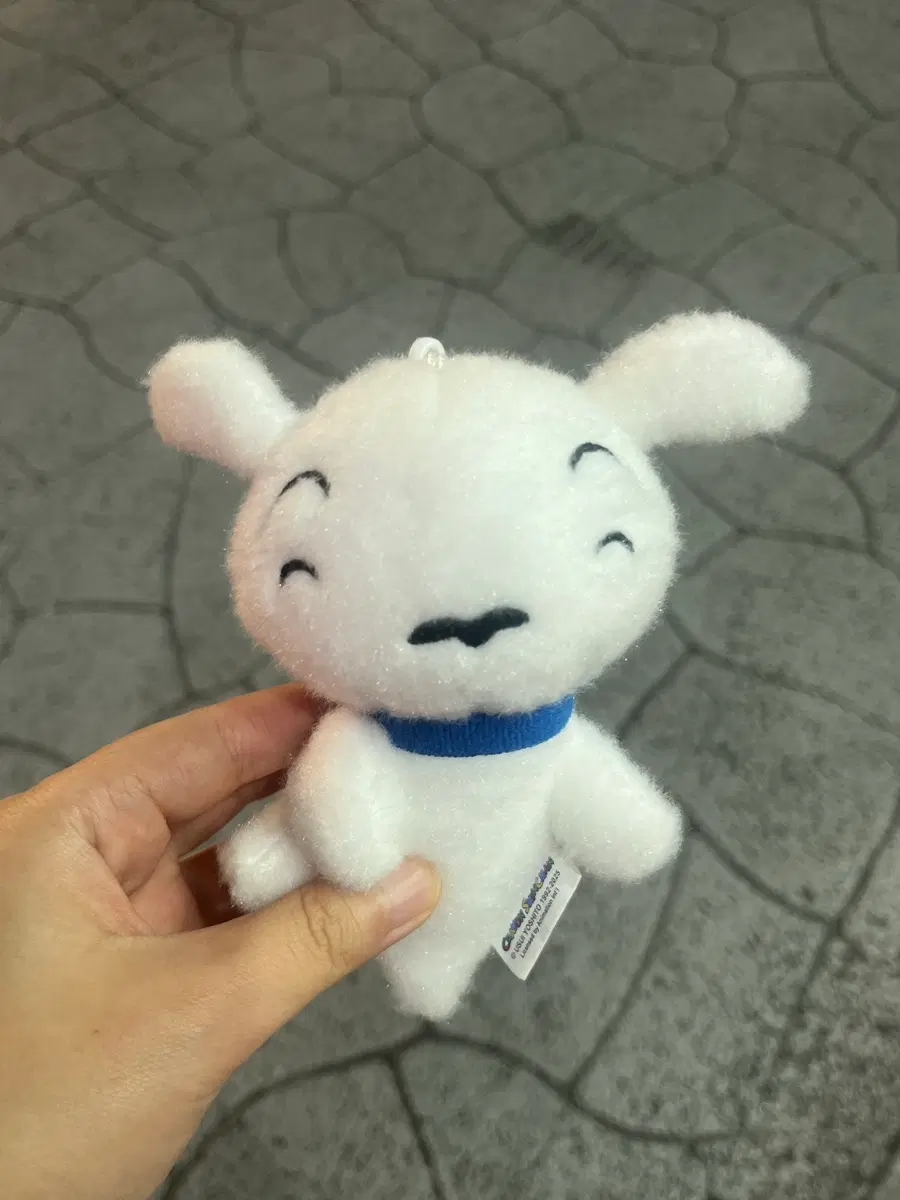 (미사용) 짱구는 못말려 흰둥이 인형키링 13cm