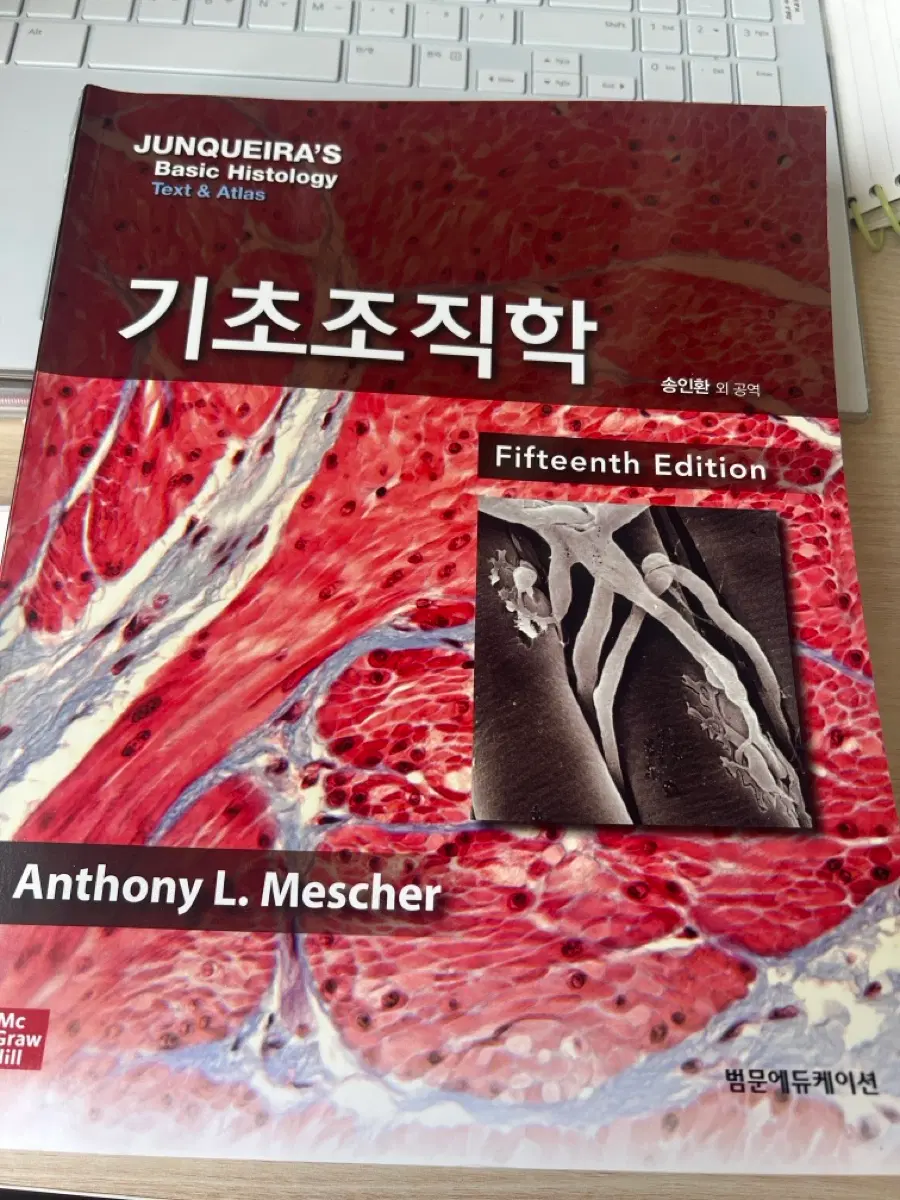 기초조직학