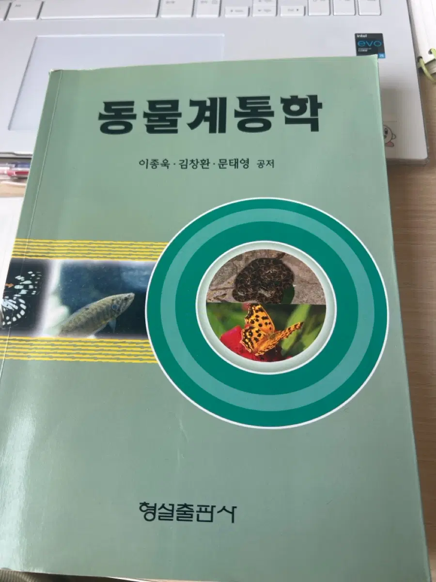 동물계통학
