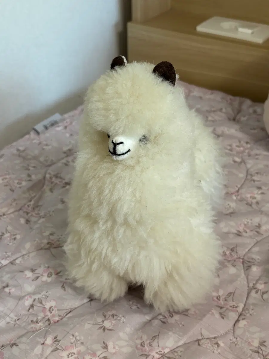 알파카털로 만든 알파카인형