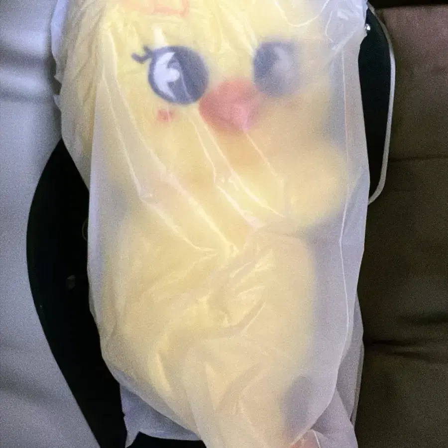 뽁아리 가방