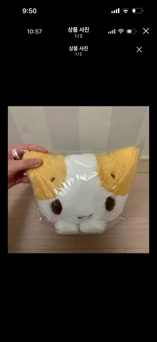 마슈마로 강아지 인형