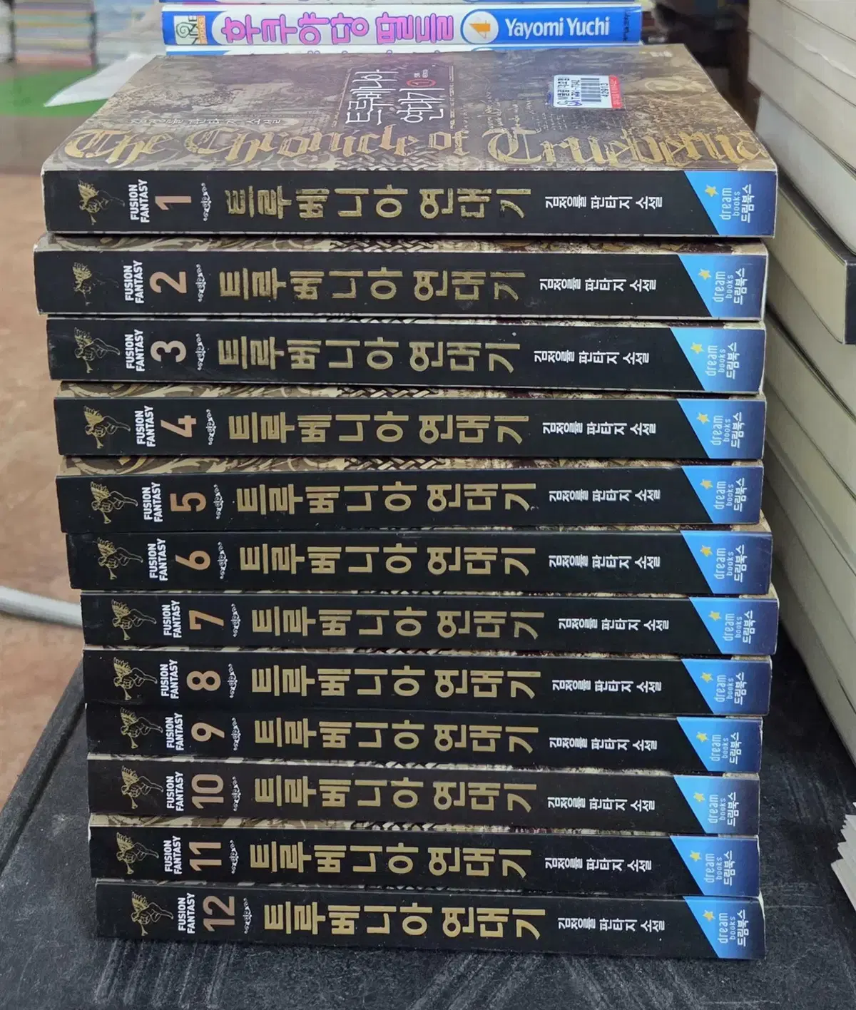 트루베니아 연대기 드림북스 12권 세트 판타지소설 중고책