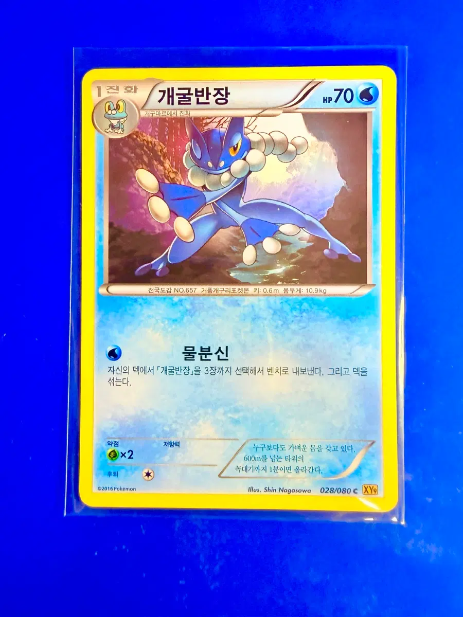 포켓몬카드 2016년 고대카드 XY9 개굴반장 카드