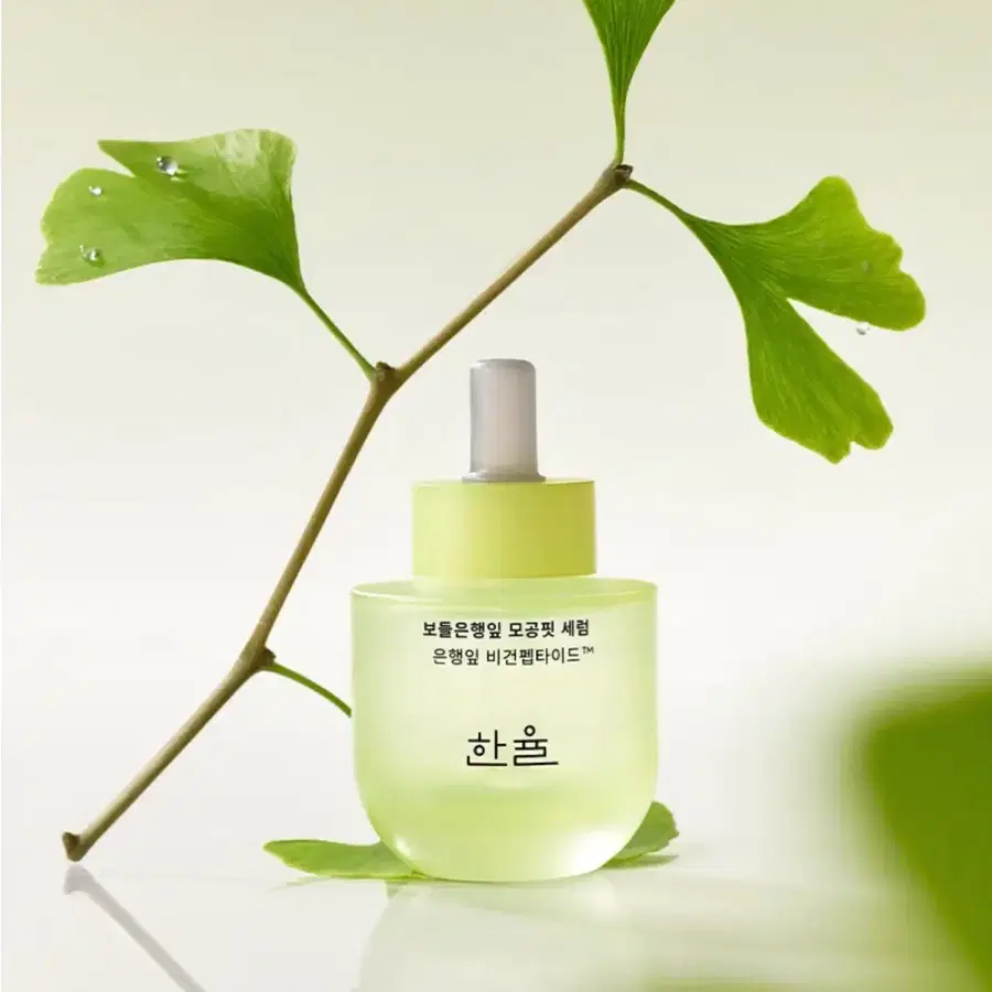 한율 보들 은행잎 모공핏 세럼 40ml(리필)