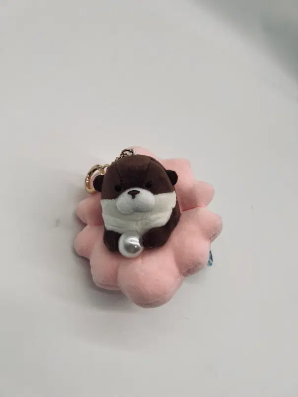 우소우소짱 조개인형 수달