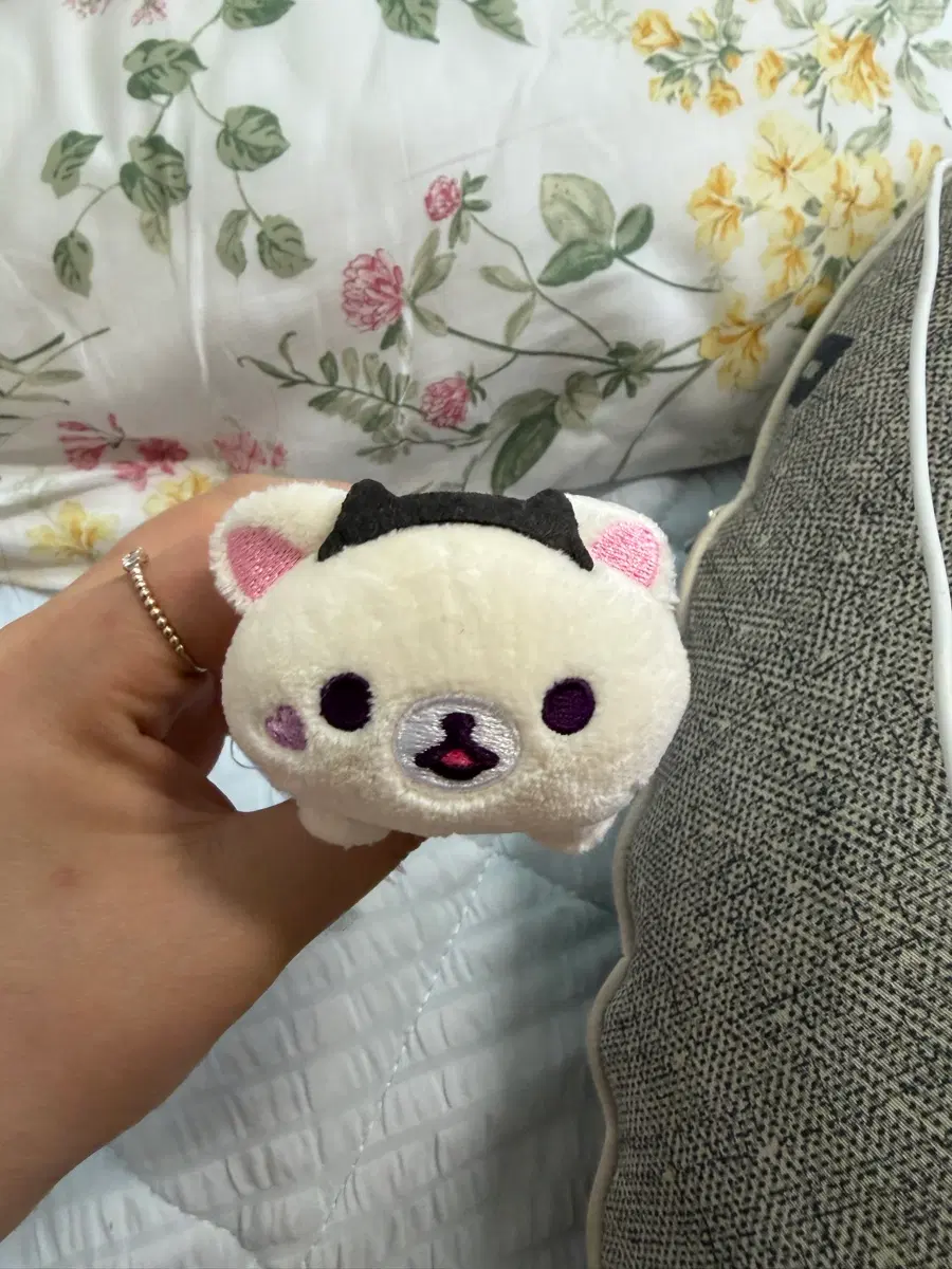 코리락쿠마 소악마 테노리