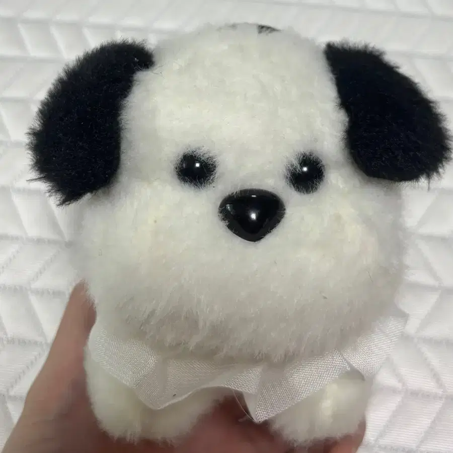 강아지 키링 새상품