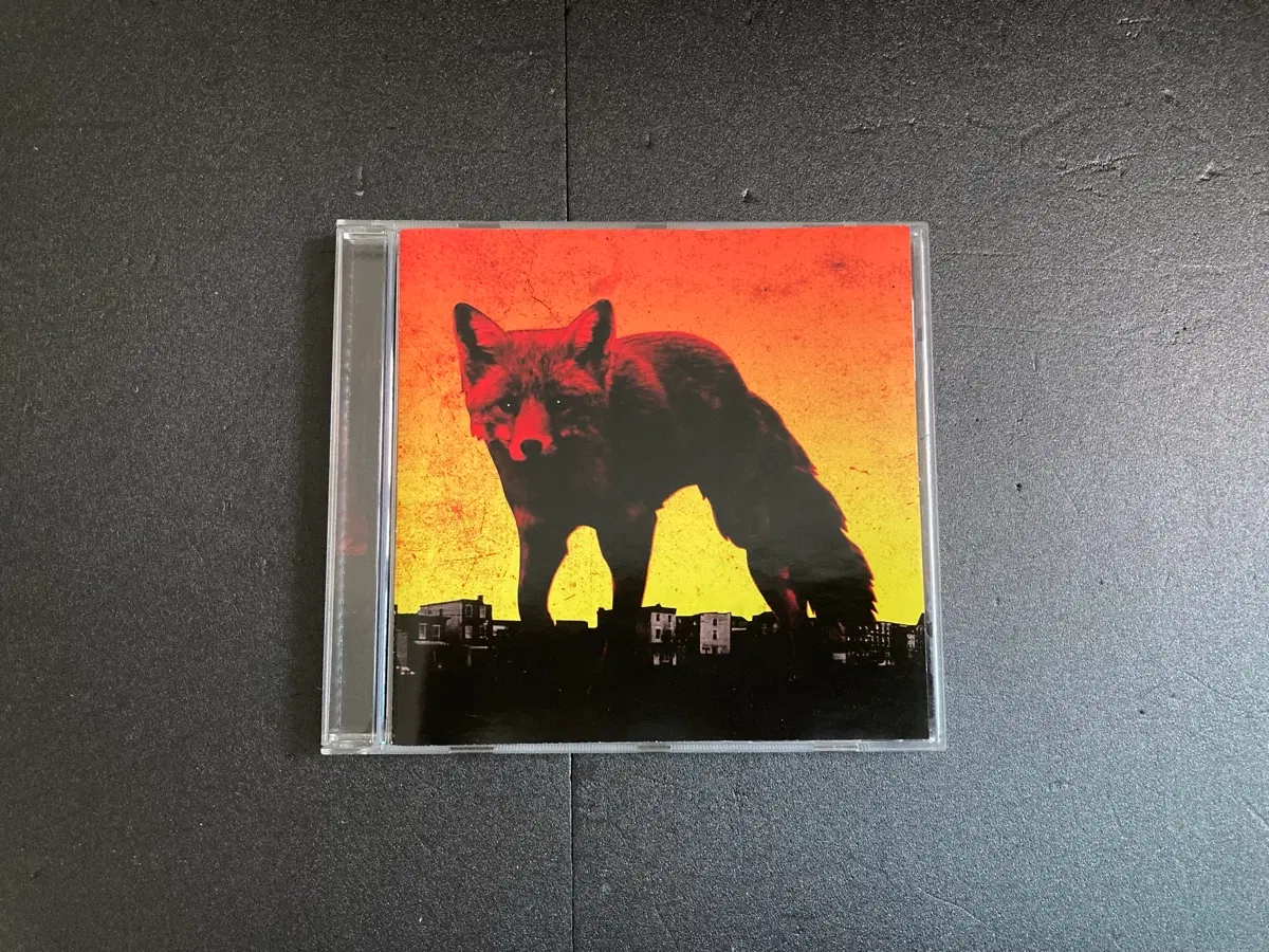 프로디지-The Day Is My Enemy 유럽발매CD