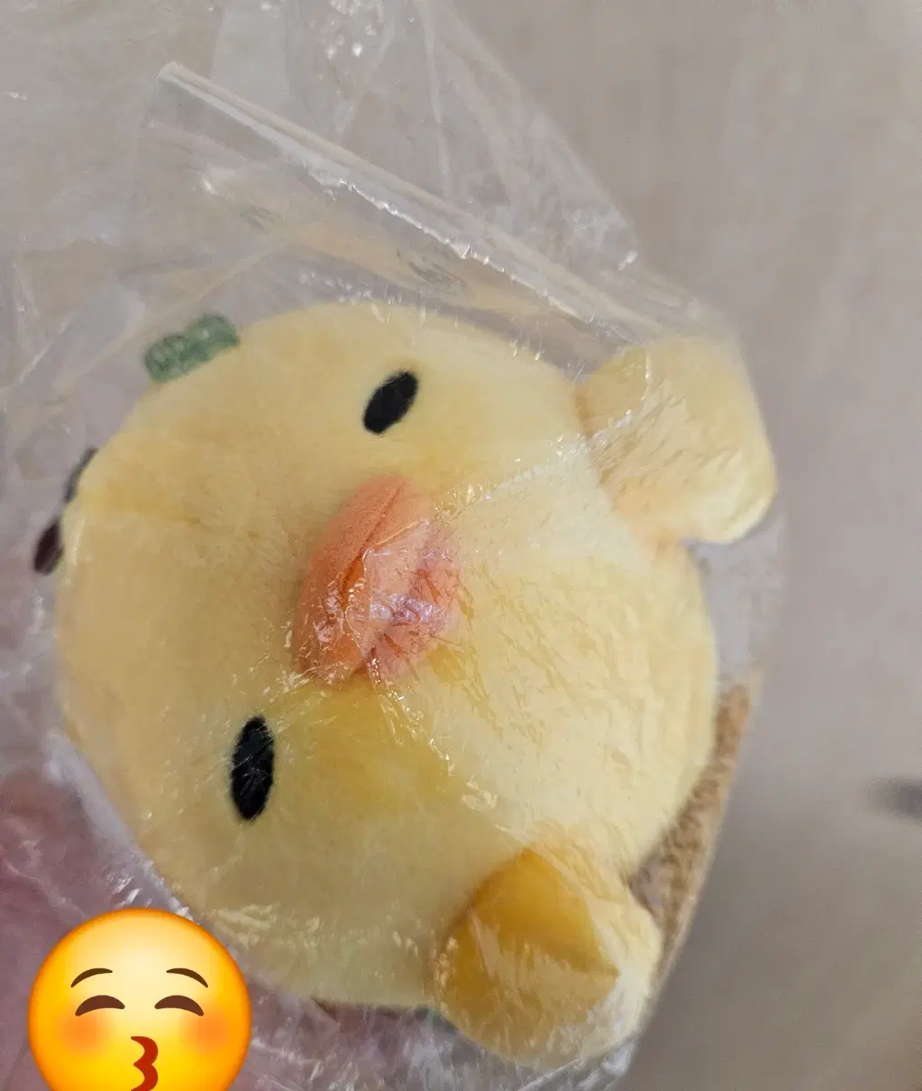 키이로이토리 쿠마큥 네잎클로버 인형