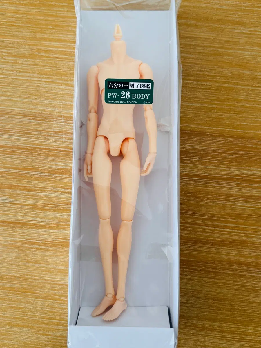 육 분의 일 남자도감 28cm 에이트 바디 petworks