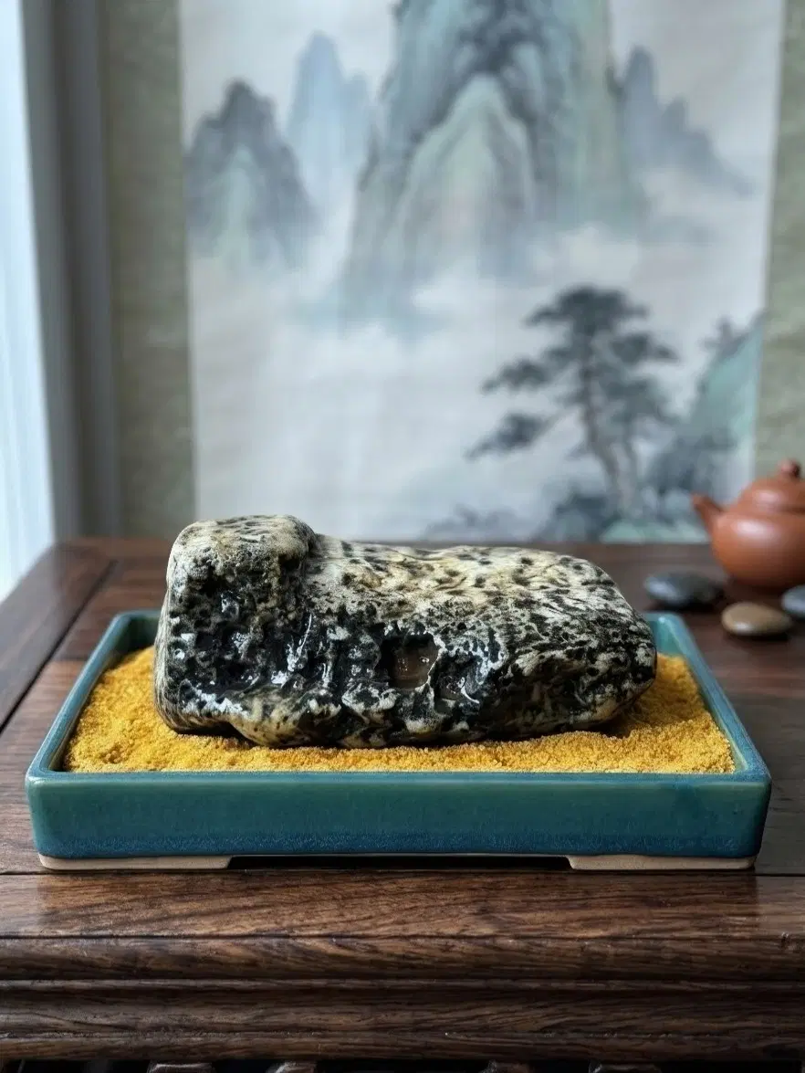 호피석. 수석.