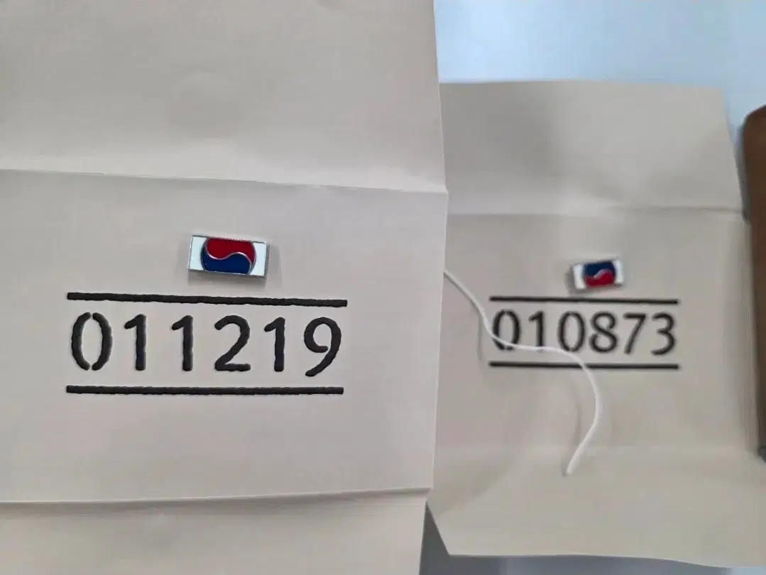 유해찾기 태극기2차