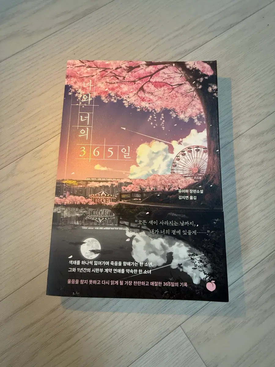 나와 너의 365일 소설