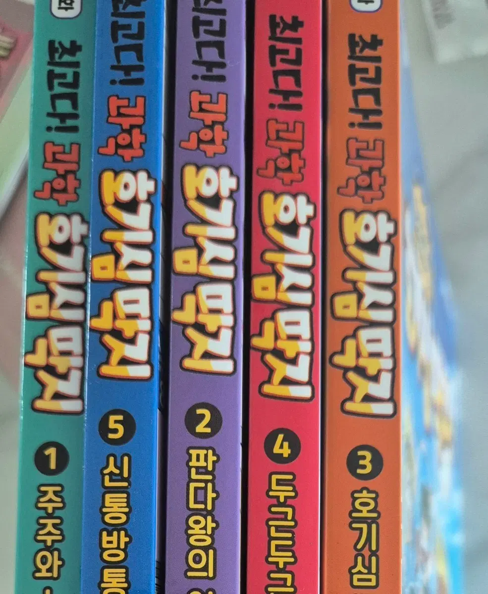 호기심 딱지 1권 ~5권 세트