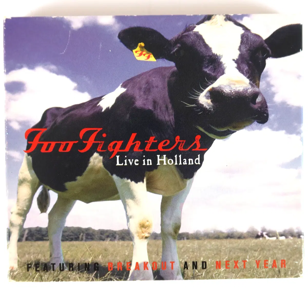 Foo Fighters - Breakout (Live In Holland, Part One) 푸파이터스