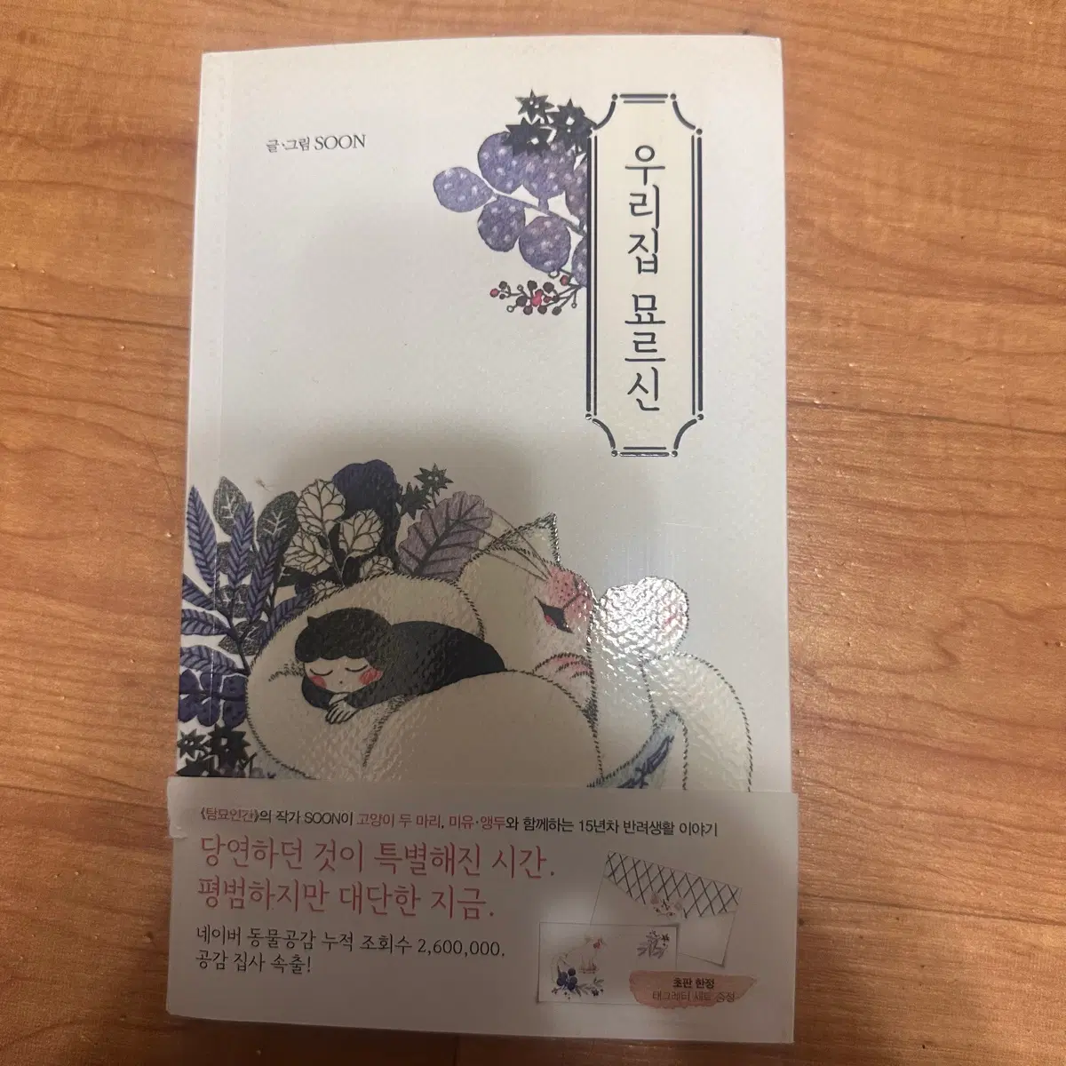 우리집 묘르신 책 팝니다