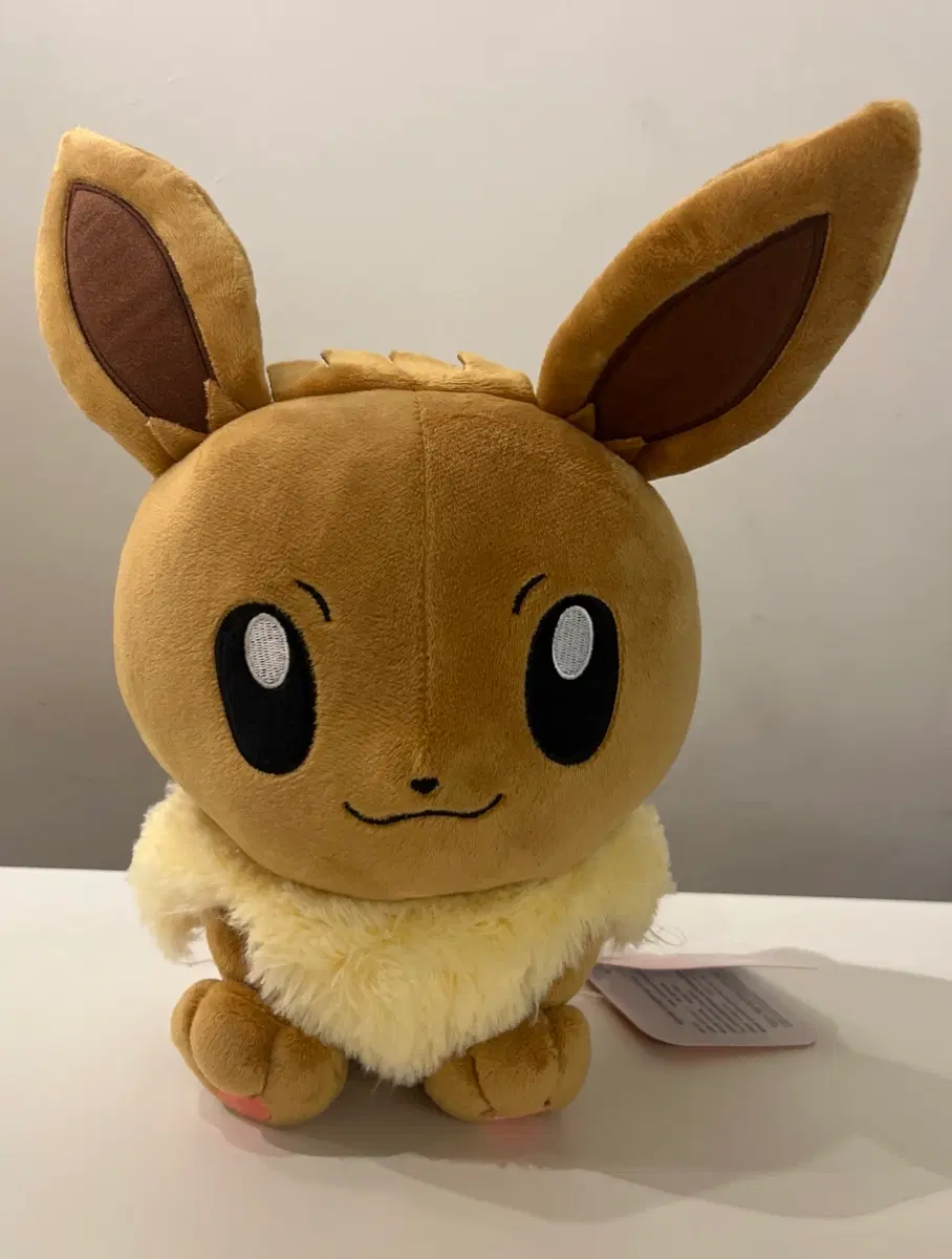 포켓몬스터 이브이 인형 25cm 대두 BIG팝 빅팝 시리즈 택O