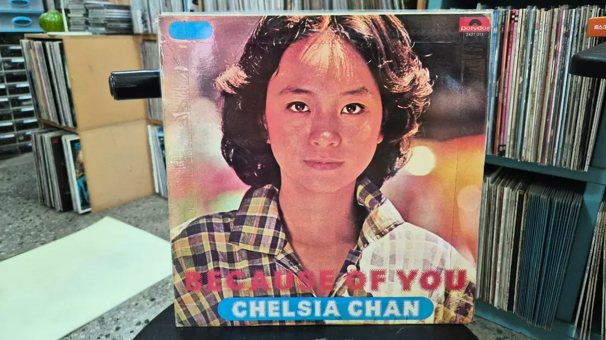 첼시아 찬 진추하 Because of You