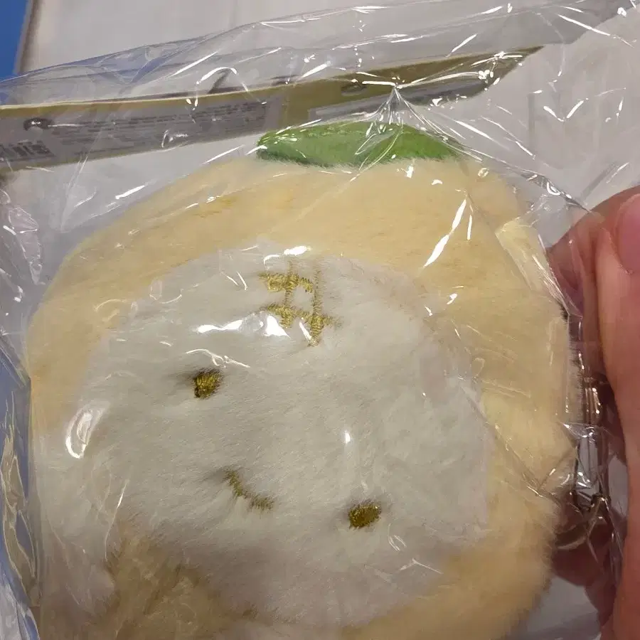에스파 인형 원터