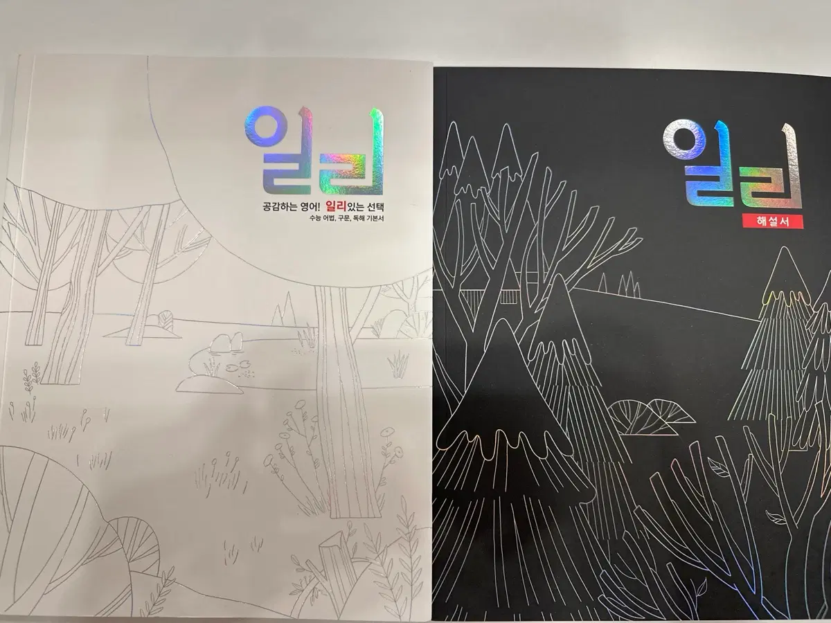 2027 대성마이맥 이명학 일리