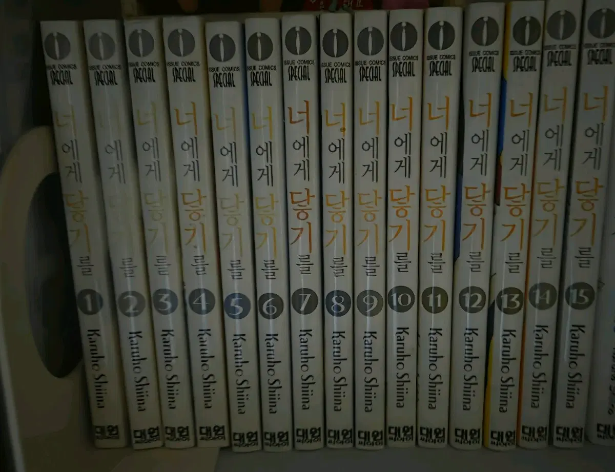 너에게 닿기를 만화책