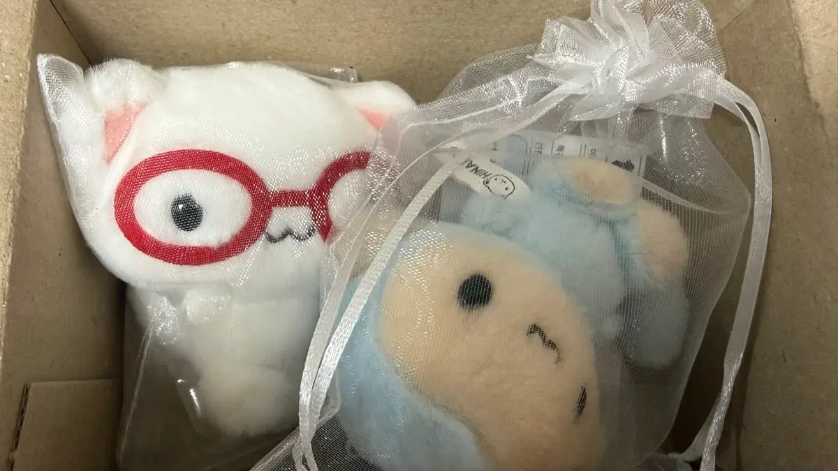 히나쿠우 파란쿠숭이 쿠냥이