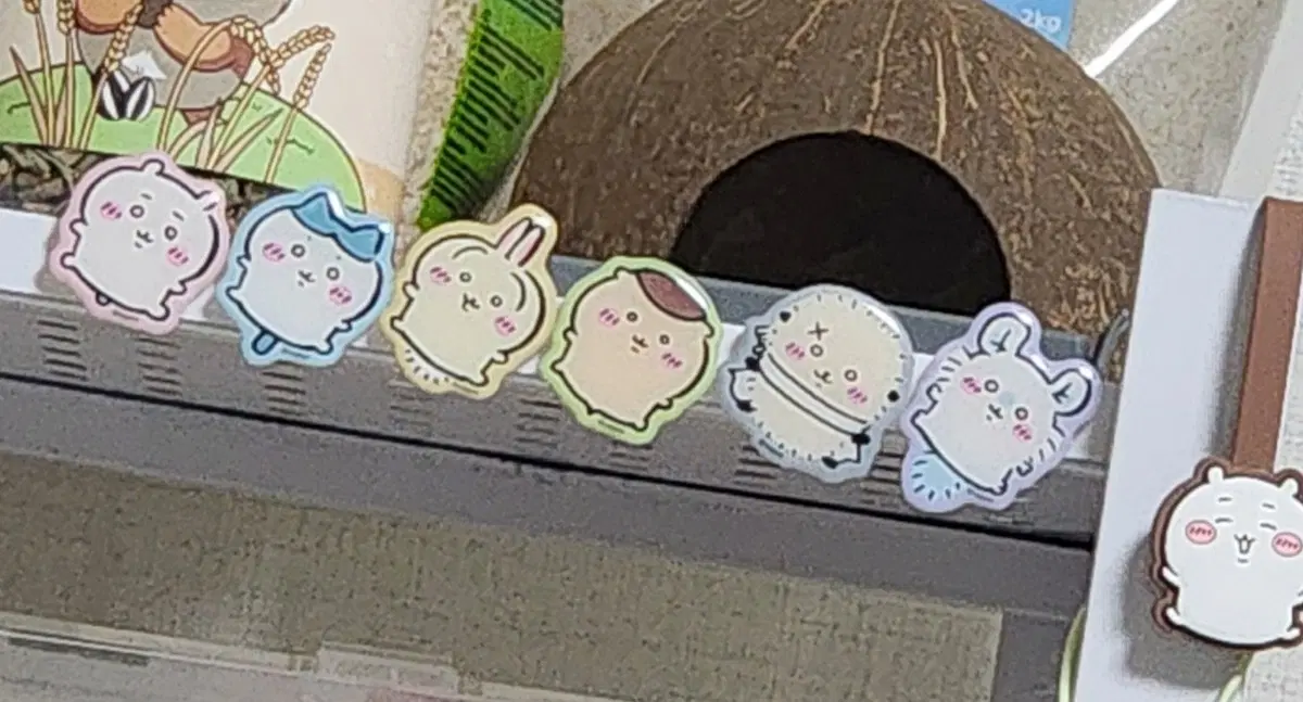 치이카와 데코참 쿠리만쥬 모몽가