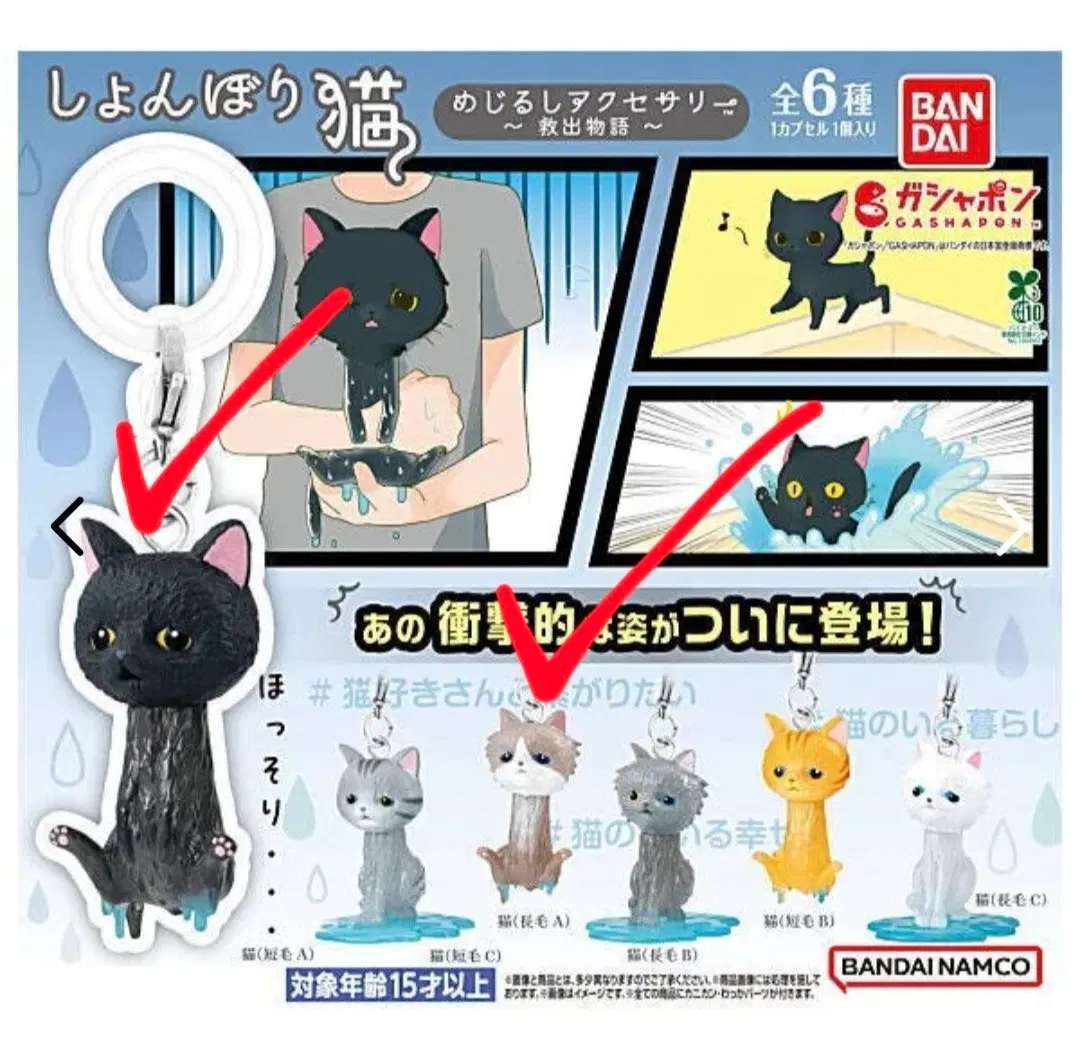 캡슐토이 물에젖은 고양이 메지루시 일괄