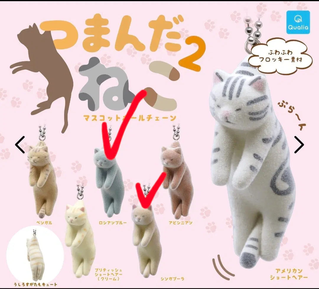 캡슐토이 집어든 마스코트 고양이 키링2일괄