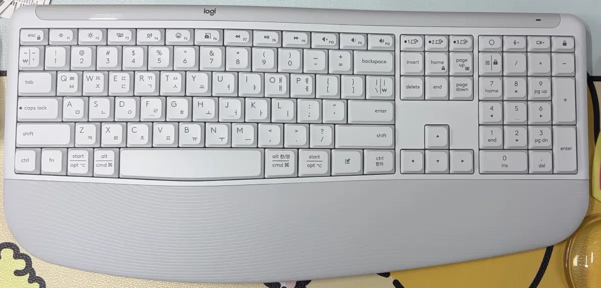로지텍 MK880 판매