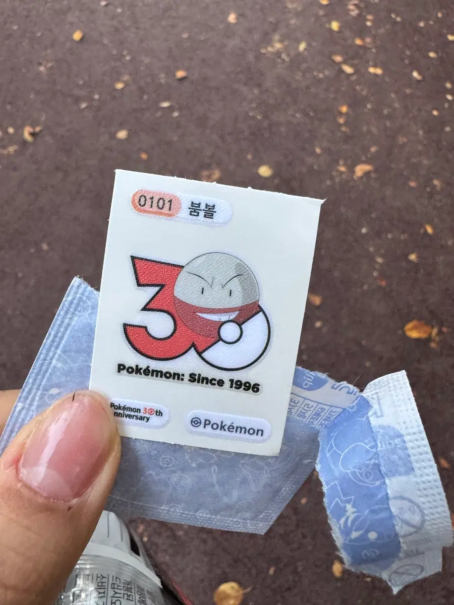 포켓몬스터 30주년로고 아트워크띠부씰 붐볼 0101
