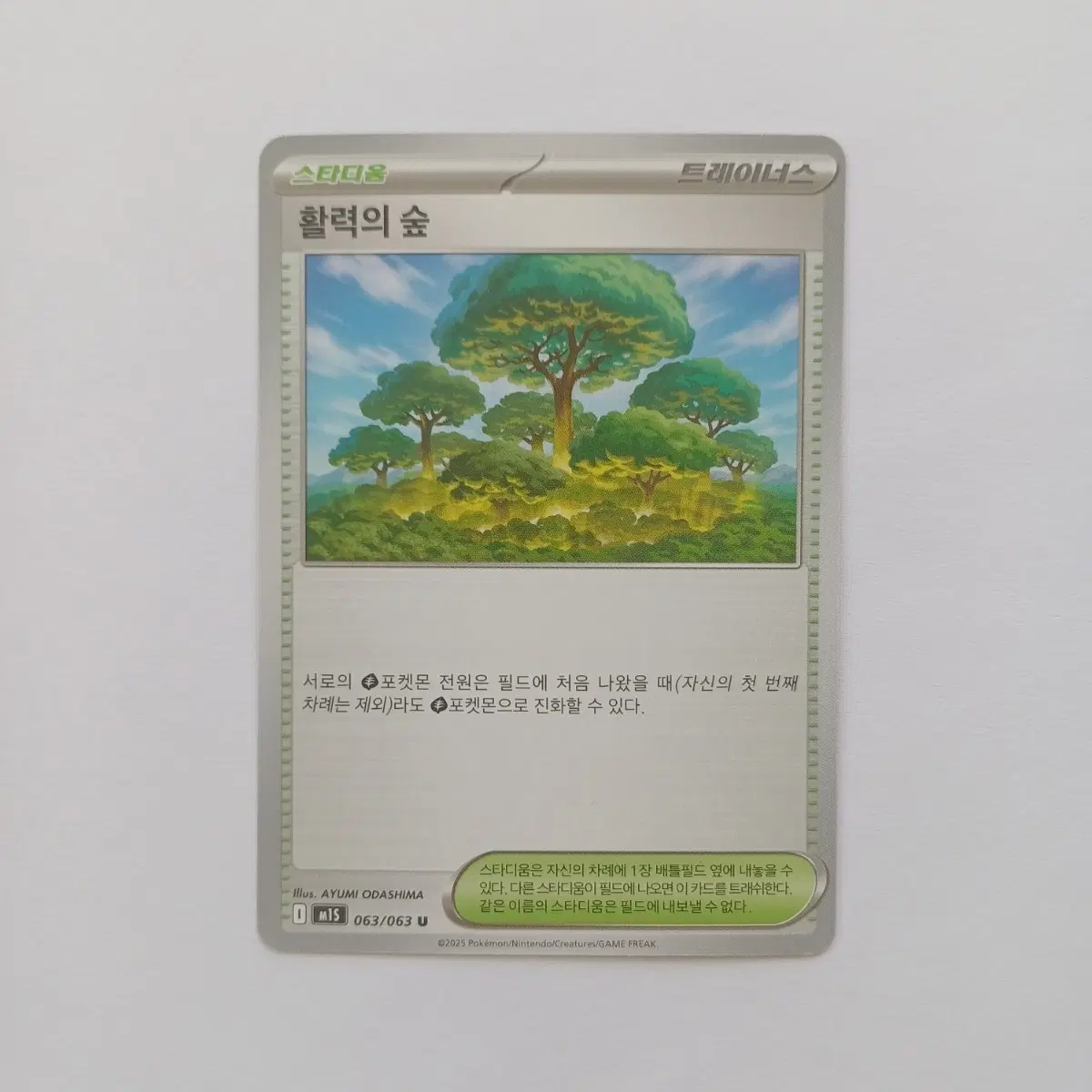 포켓몬카드 일반카드 도감용 덱소스 m1s 메가심포니아 활력의 숲