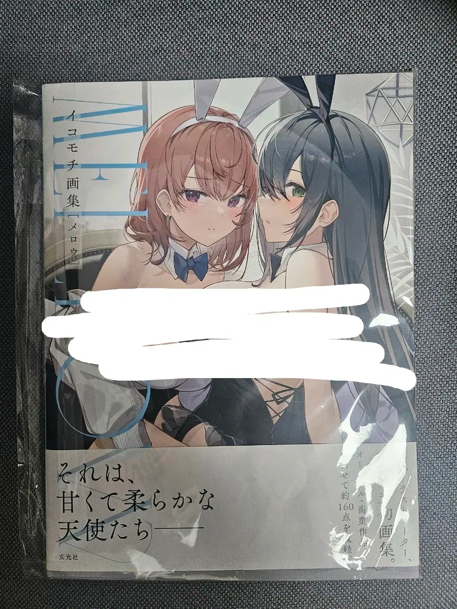 이코모치 일러스트북 판매