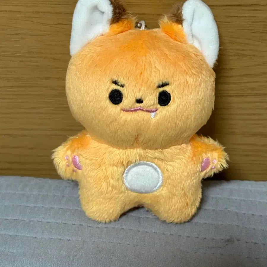 쭌콩이 판매
