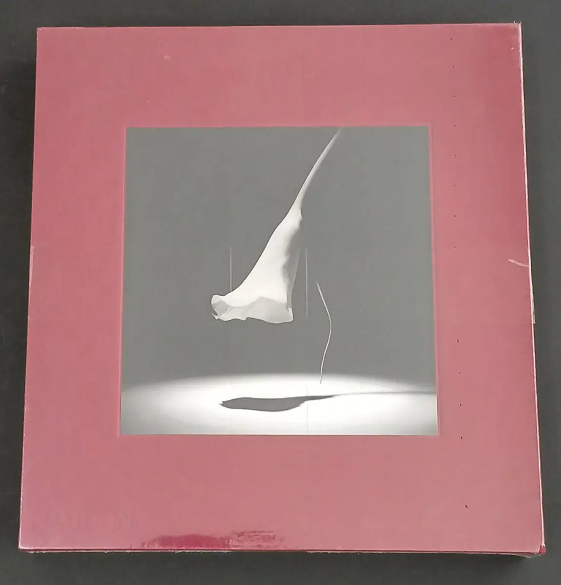 Robert Mapplethorpe 의 꽃사진집입니다.