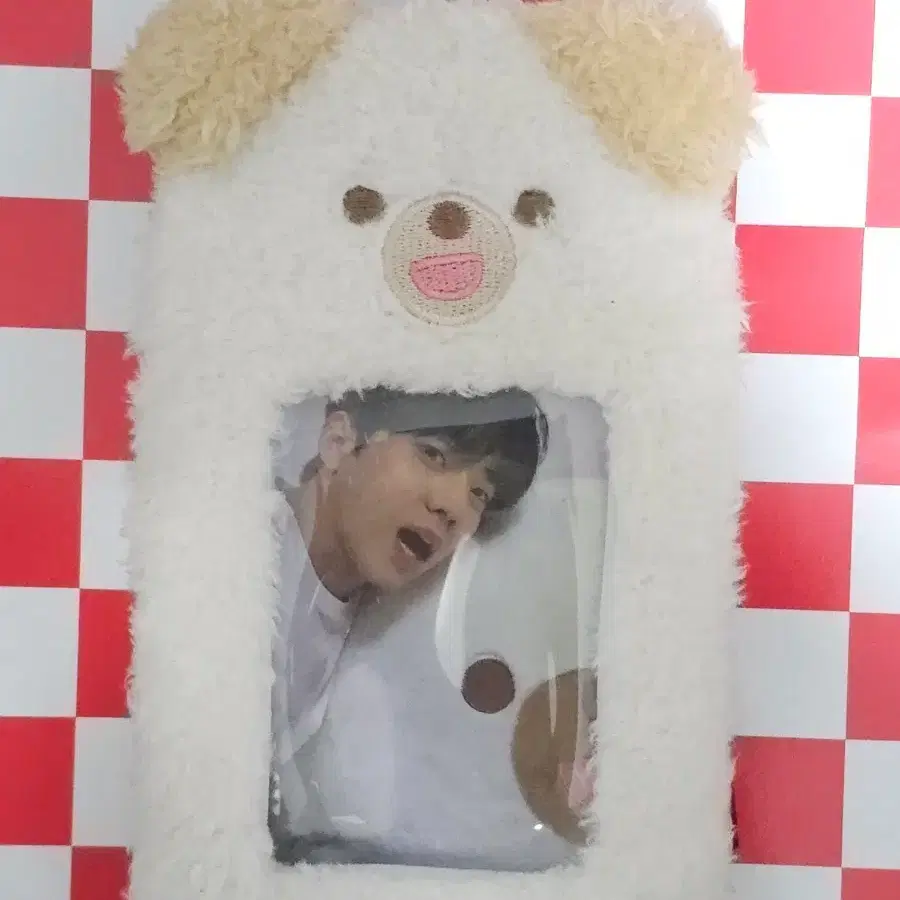 데이식스도운 포카홀더 도운 쁘띠멀즈 돈