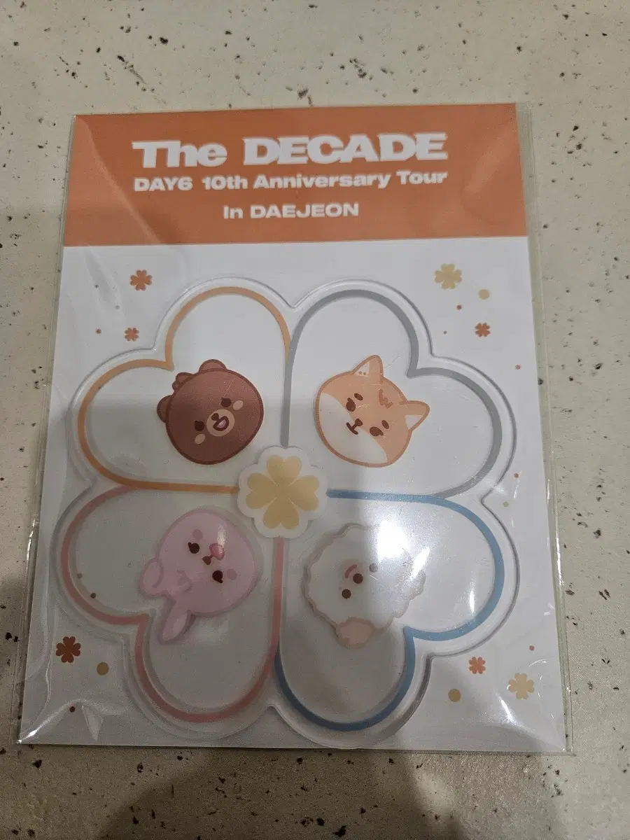 데이식스 더데케이드 대전 티코스터
