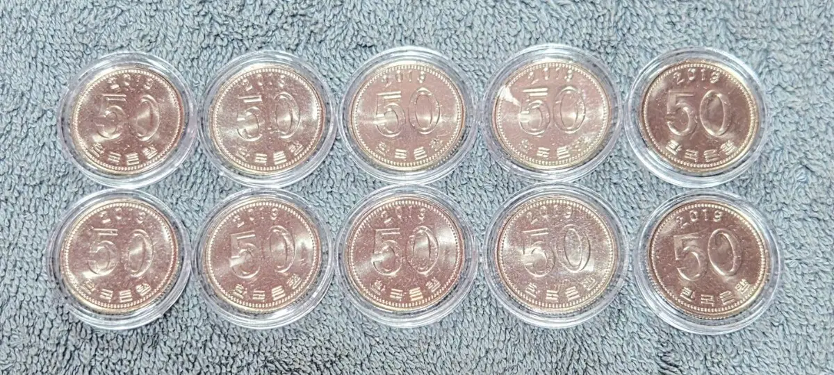 2019년 50원 동전 10개 일괄