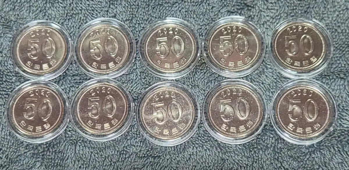 2020년 50원 동전 10개 일괄