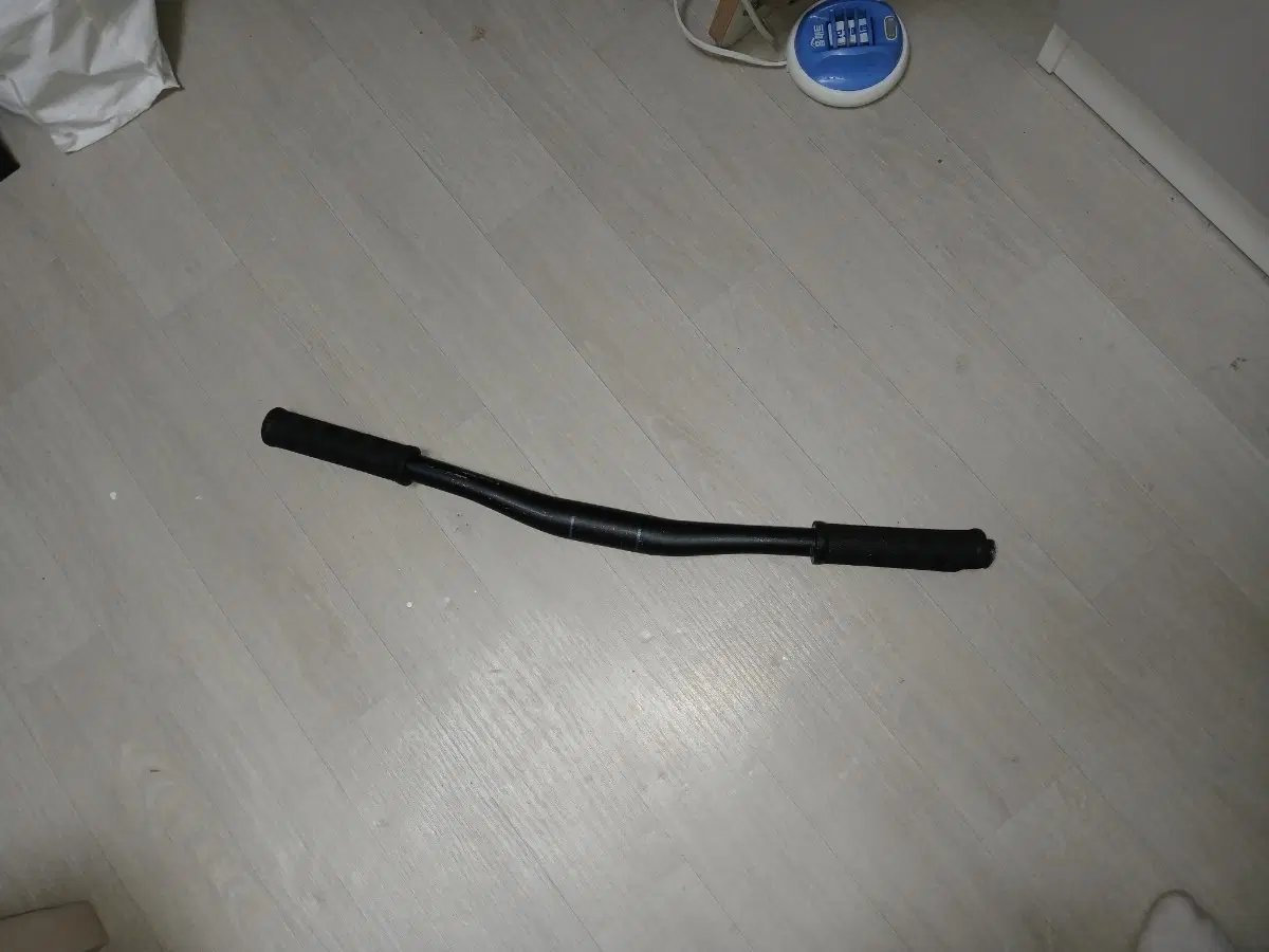 라이저바