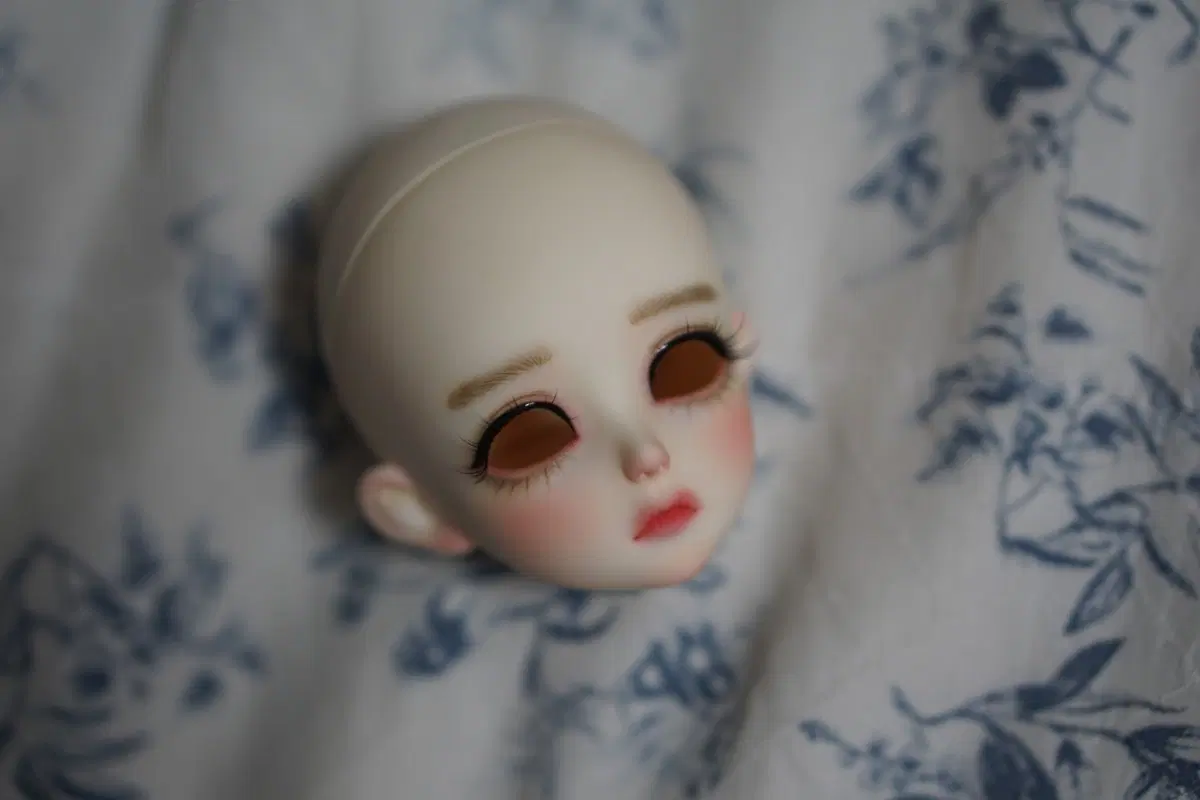 루츠 자몽 msd 구관 헤드