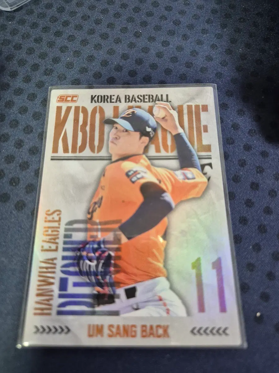KBO 한화 이글스 엄상백 홀로 야구 카드