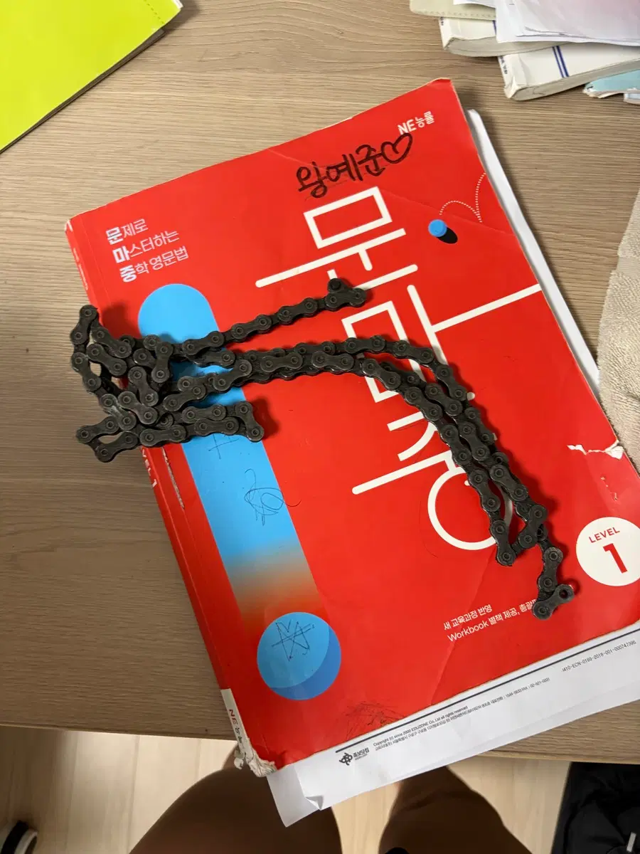 자전거 체인
