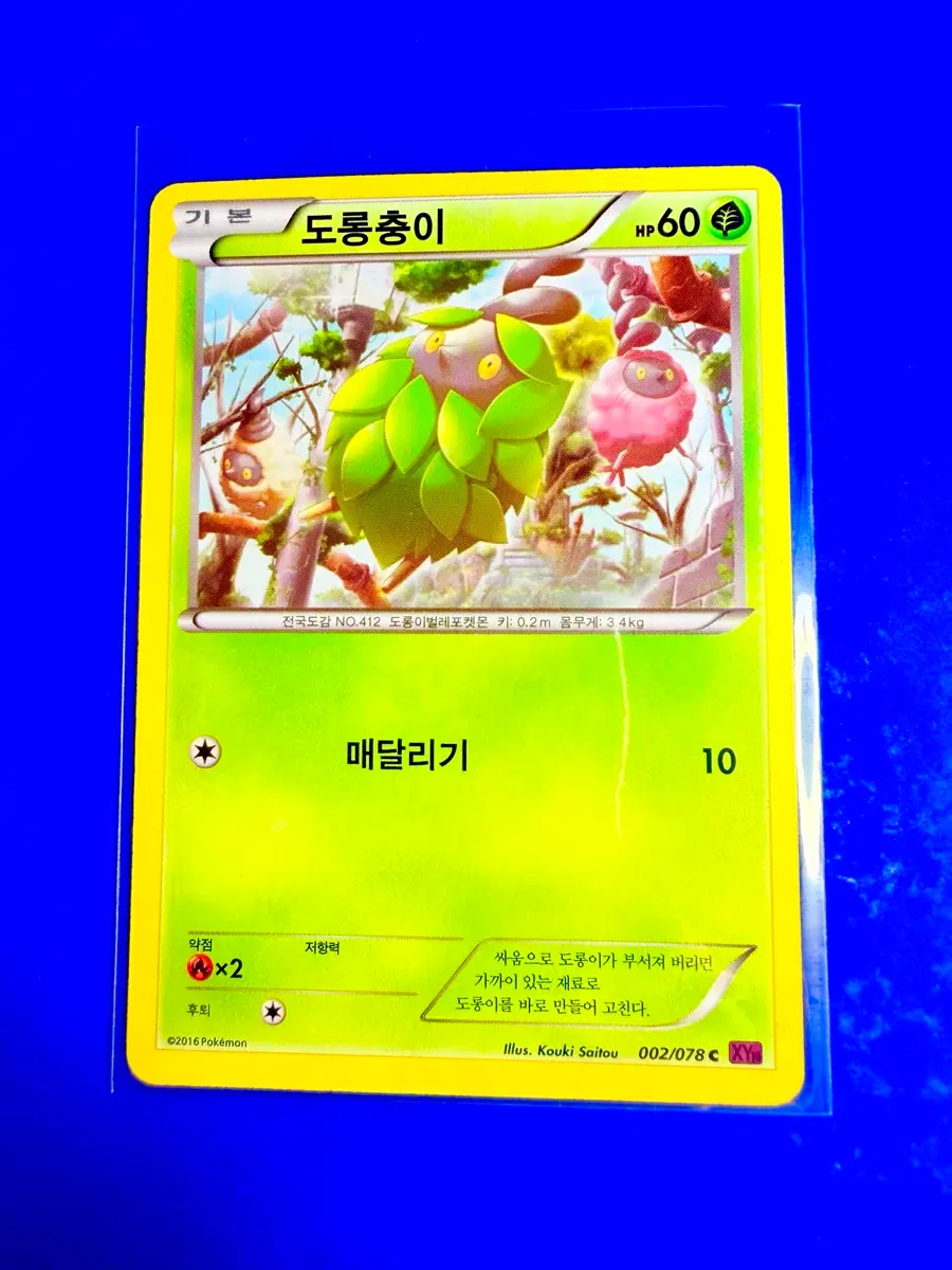포켓몬카드 2016년 고대카드 XY10 도롱충이 카드