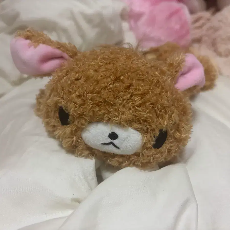 우사하나 필통 파우치